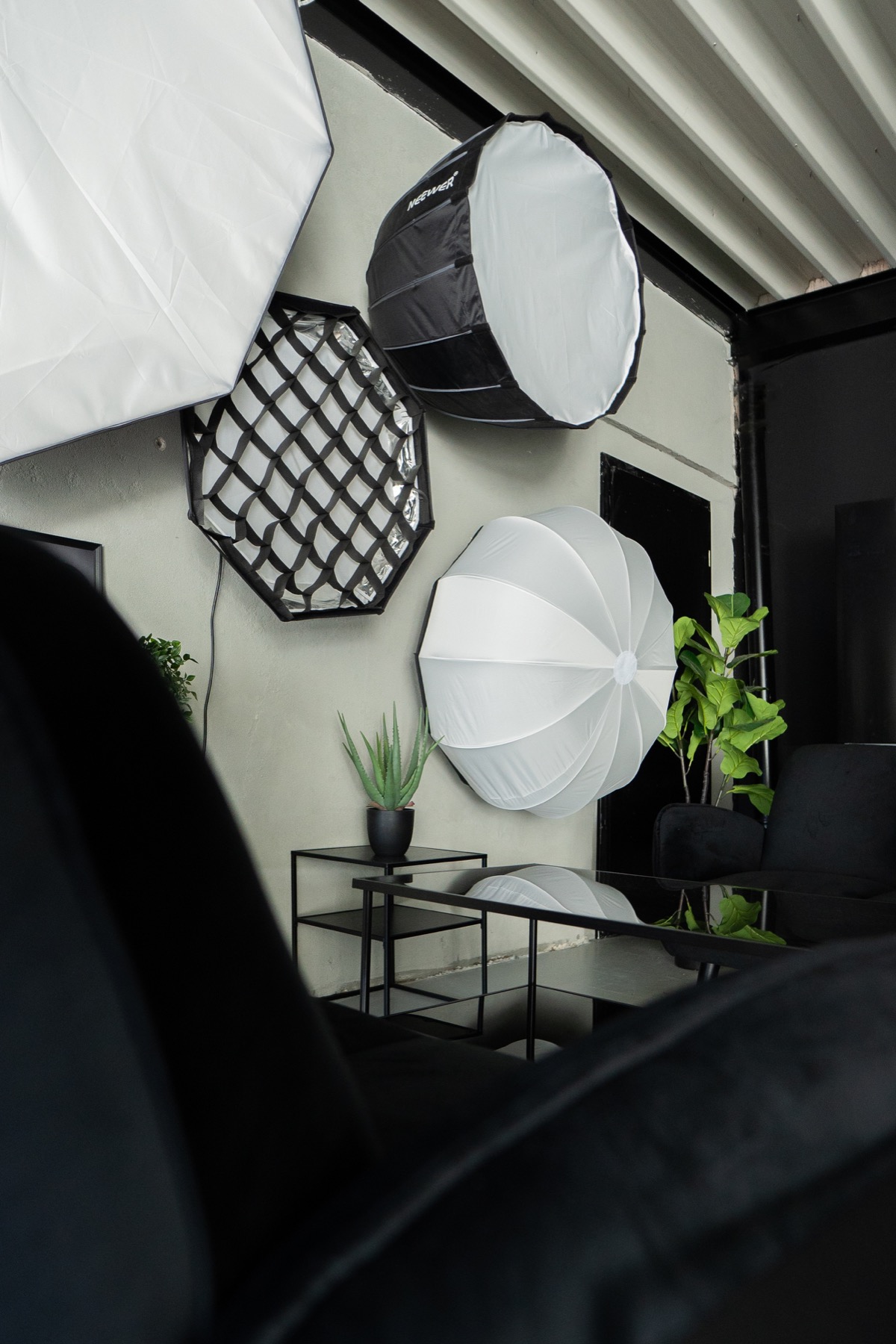 Loungeecke mit Lichtformern und Pflanzen im Urban Creatives Studio